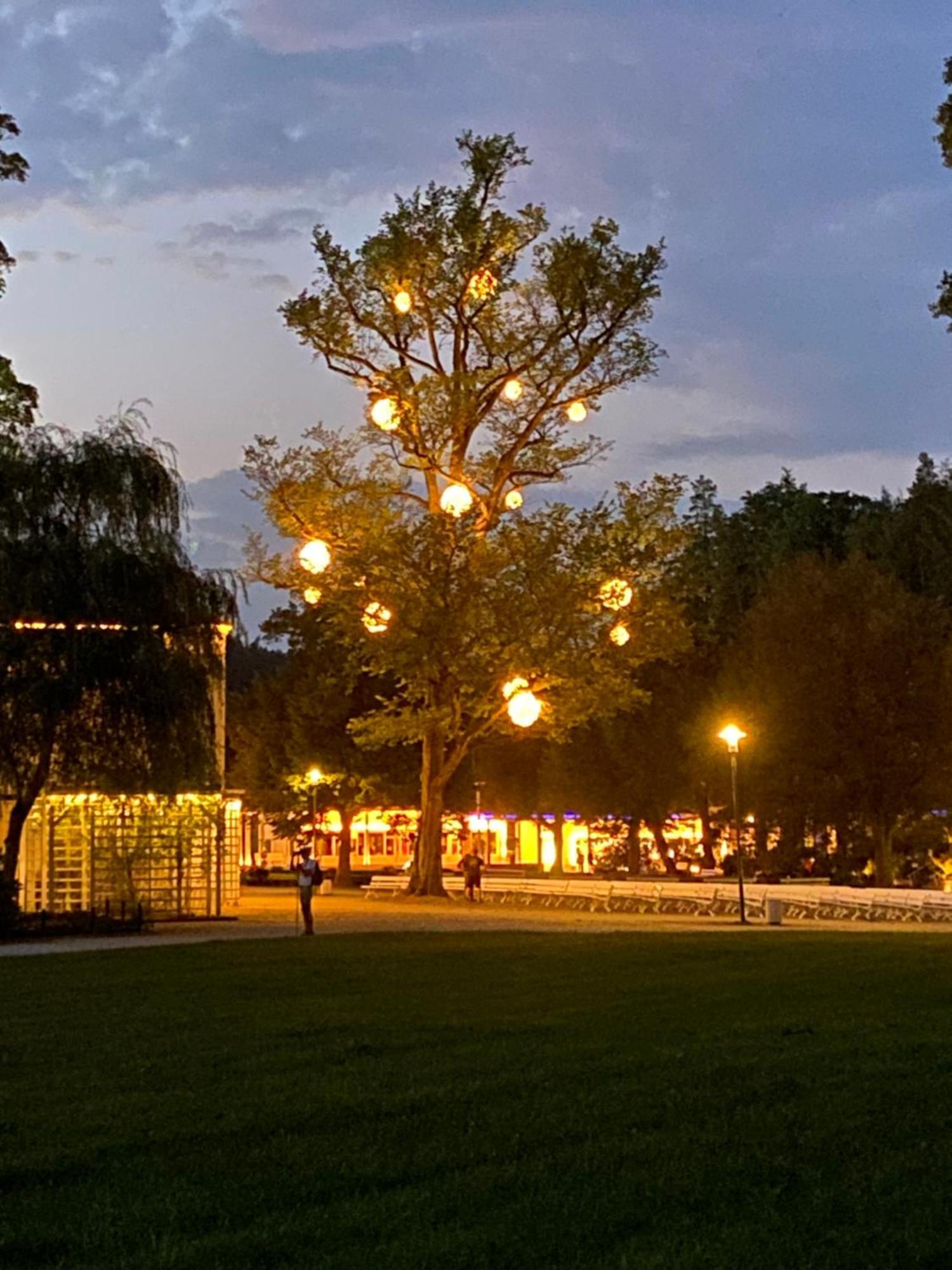 Fewo Roland Ranft Direkt Am Kurpark Barrierearm 60Qm Bad Elster Εξωτερικό φωτογραφία